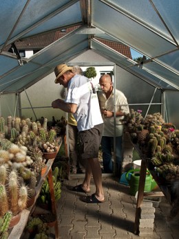  Kakteenhock bei Gutbrods 2012 09 07